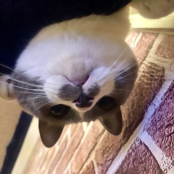 Ece7979f d234 4cd1 83c2 d23144390dde 1735906416580