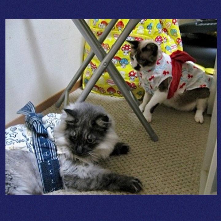 Ece7bf11 0c38 4ddd b2cc 6a214d973ad4 1728785258905