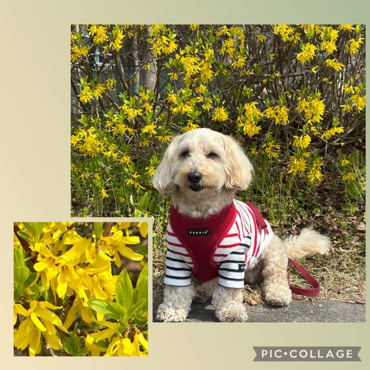 Ece7fd7a abd2 4949 9f84 bec78f539b30 1774170526678