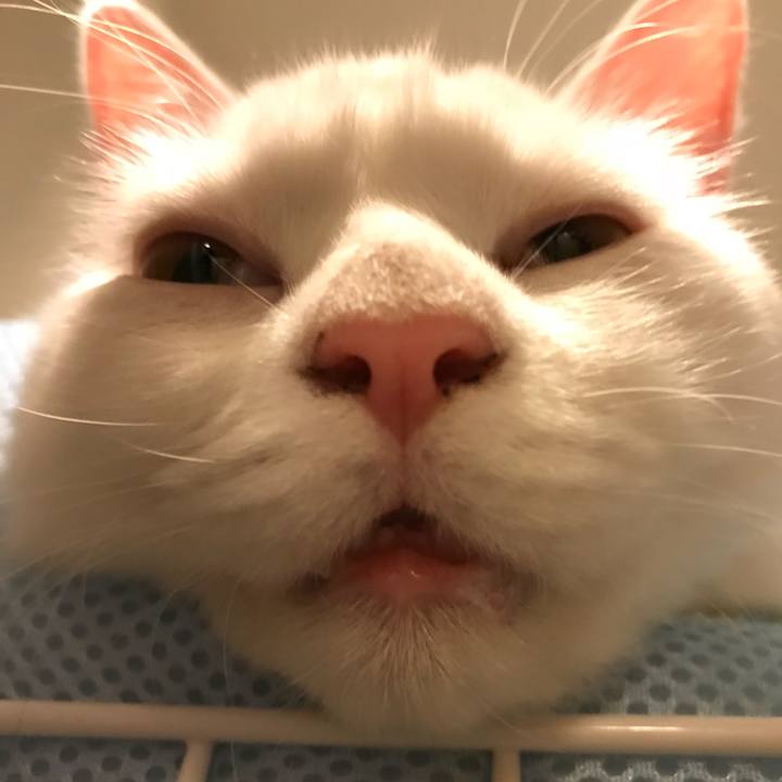 Ece8049b c68b 444d 8175 b59d3968adf5 1524569644821