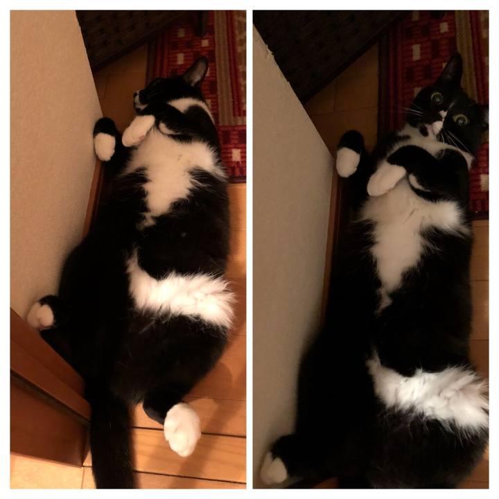 Ece837fd 6332 429d ba7b f2f8b07e9a58 1535060882120