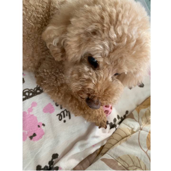 Ece885dd c3af 486e 8070 f8735903f57d 1560032814786