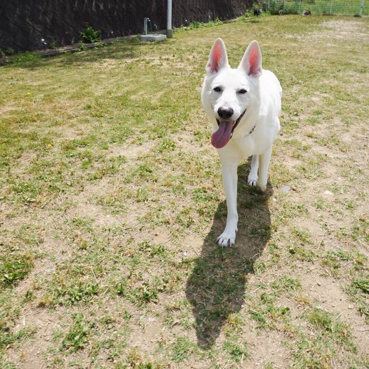 Ece89cfb 2525 4add ae9b aec8ab57931a 1557886455232