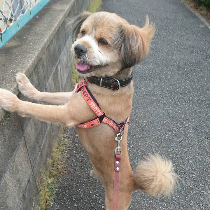 Ece8b85f d586 4388 bf32 1ab91da68951 1530185619852