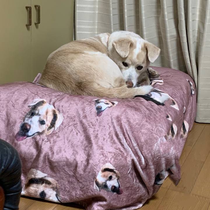 Ece8cf60 a574 4f41 acc2 233df927ca63 1609748971536