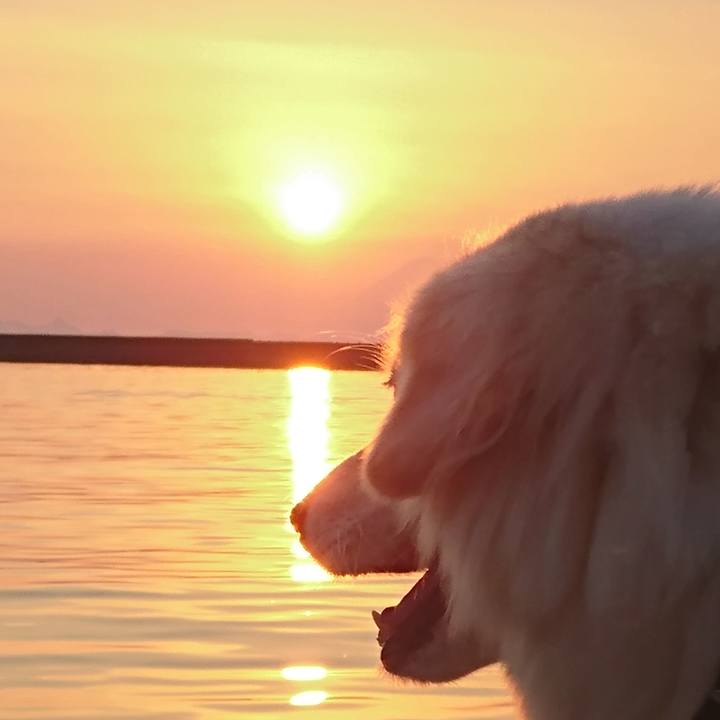 Ece8d373 73c2 4084 a380 4e21ac7af463 1541504364648