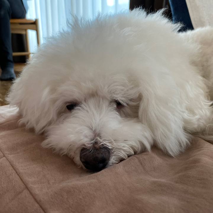 Ece8d480 44c8 4195 8b58 26294b60ca69 1603522961441