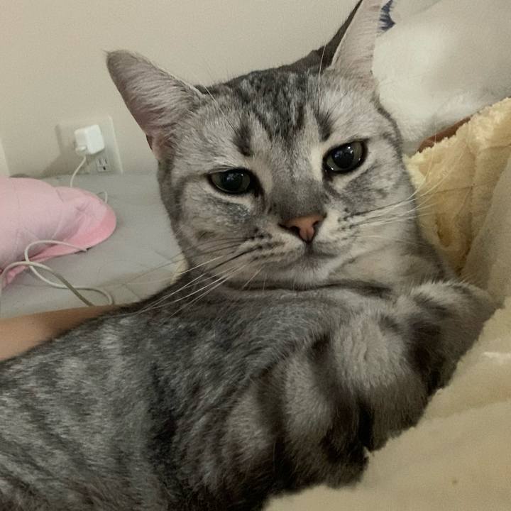 Ece8d83c d97a 4c75 8696 28782b7c355b 1628390881533