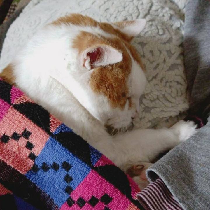 Ece8e8d0 706f 4f3b bb3e f81ffb21756a 1585389329090