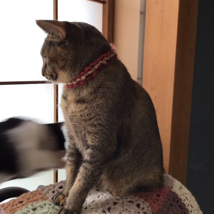 Ece8f1f2 1478 49ca 9402 8d0d76ce7243 1630891410956