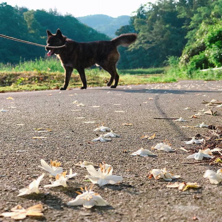 Ece9068c 81b6 4c59 8e44 c07d00a8b7ab 1528152265004