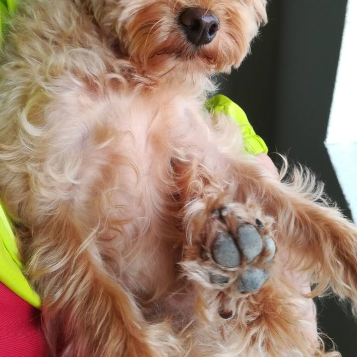 Ece92ab9 3e86 4df2 a577 f1d27a4c3b24 1533681003739