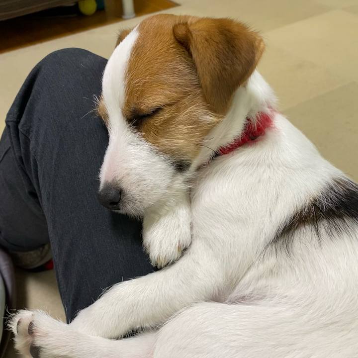 Ece92f53 07cd 481c 99aa 6586488f44d0 1615099671910