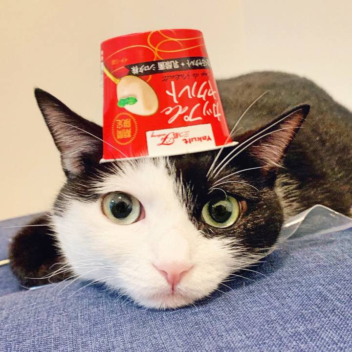 Ece930a7 ebb5 47b9 99af 429d31281f08 1569047899173