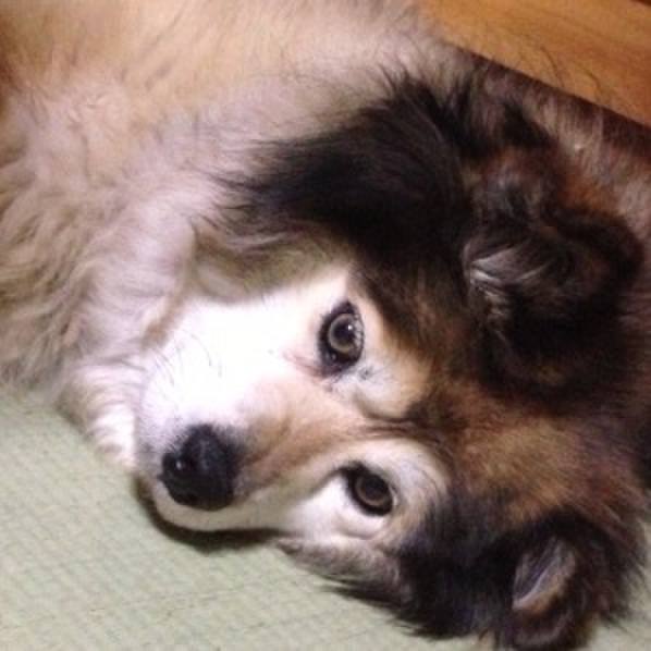 Ece9415c 3dfe 4e3e baa9 d7c94da42630 1551228026471