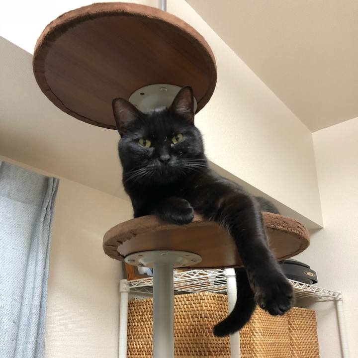 Ece95c78 11cf 45cb 9649 97a40127907d 1512215008761