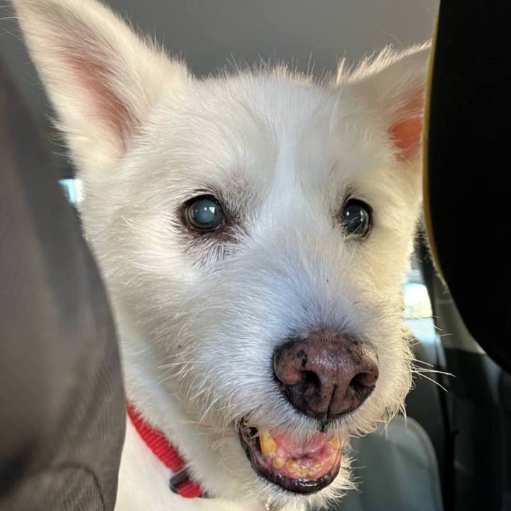 Ece9751b e0b3 4909 a773 15c883fb5b19 1769157617509