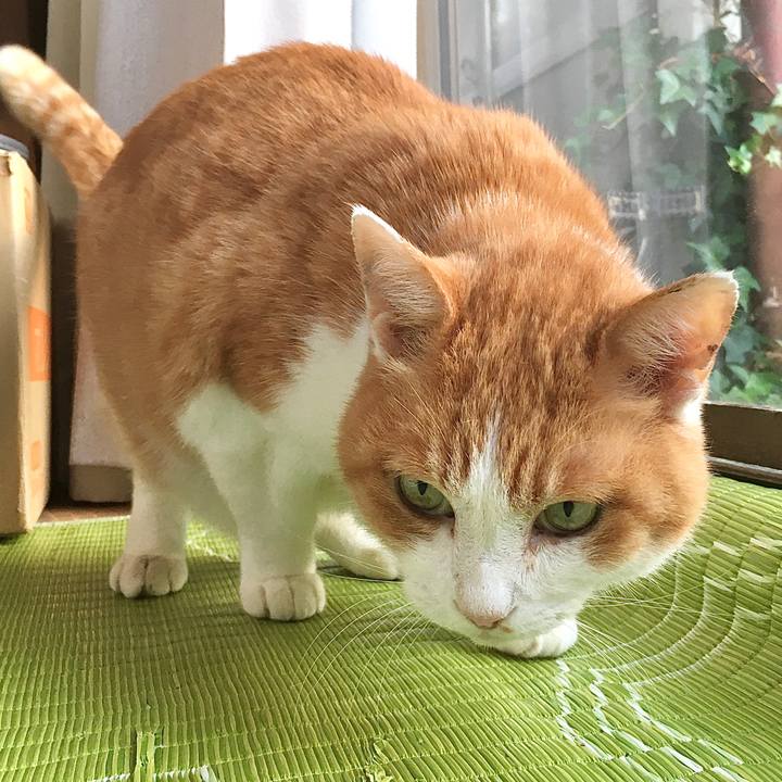 Ece98b2a 1166 4e53 a046 5b179297b2a6 1606256373613