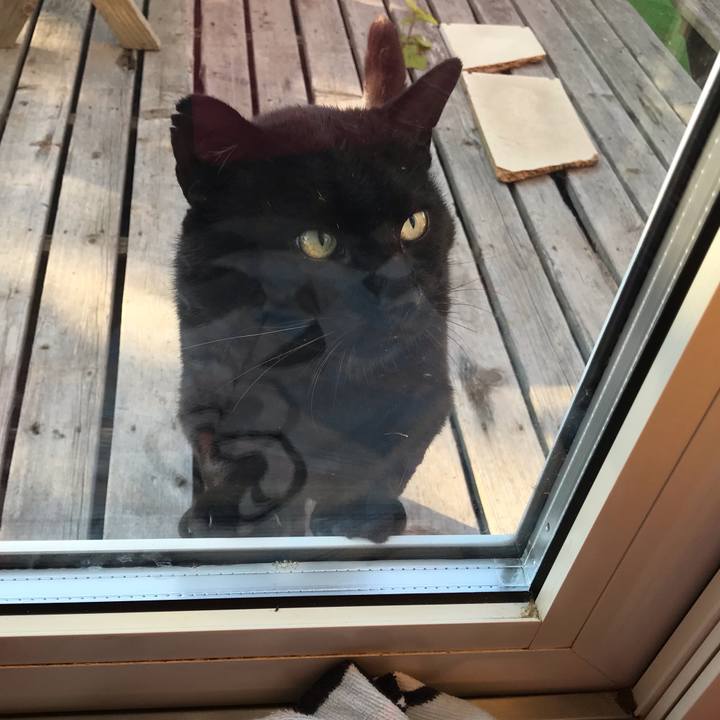 Ece9ed31 3e03 4890 af50 a9f2294565b3 1624398363666