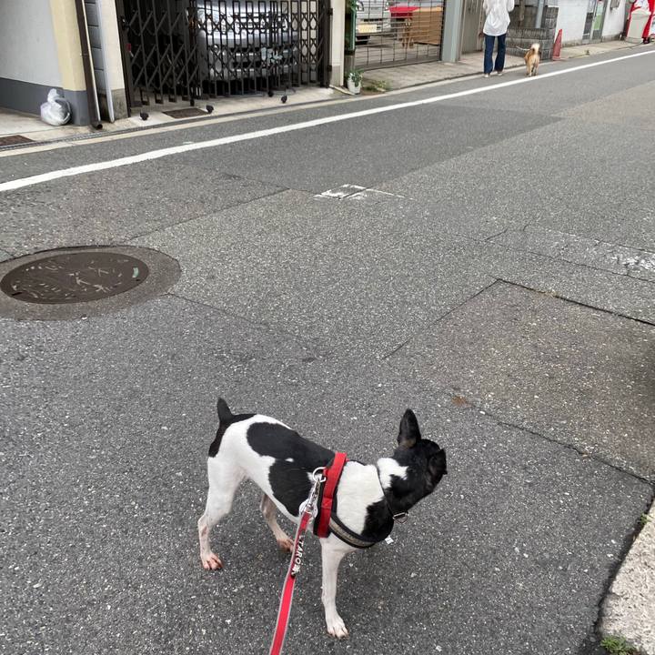 Ece9fe91 9227 4ed4 aa92 acf7a00d9a11 1591830100374