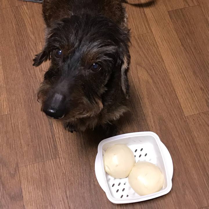 Ece9ff8a 9da6 4c50 9d7c 983eca993634 1549022071314