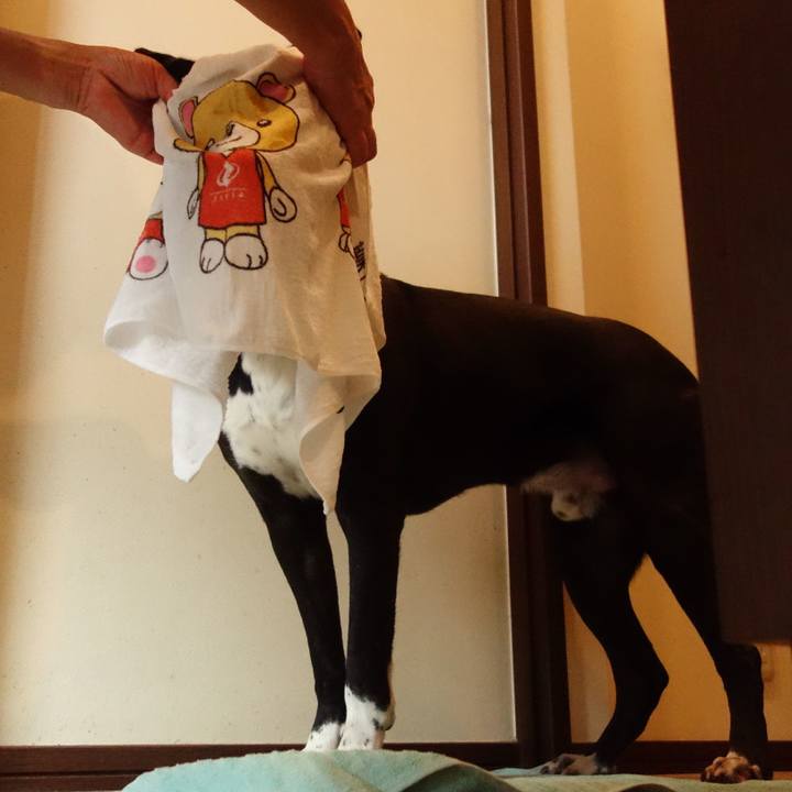 Ecea0f18 a7ec 4c58 8c59 298acd48b57b 1596413577917