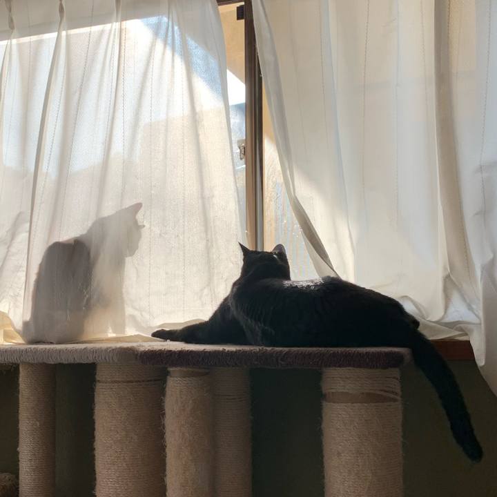 Ecea531f 9f06 4243 a4bd 212b694ef811 1579568834632