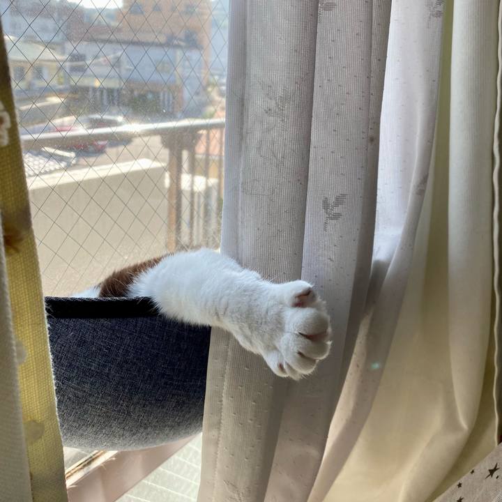 Eceab3ad 542f 4507 aed1 fbaf0fc468f5 1650108990087