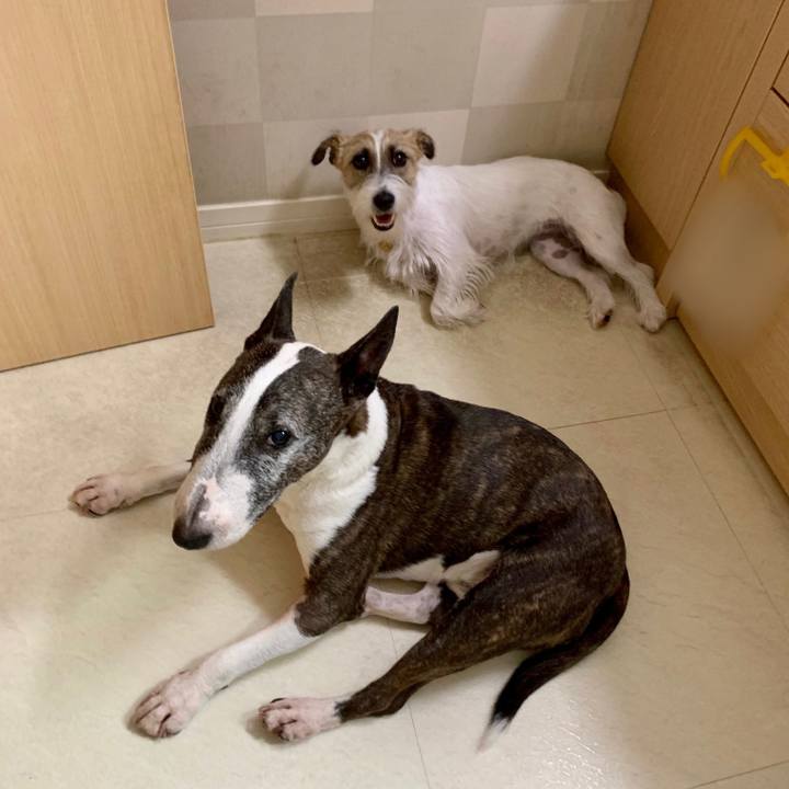 Eceb0058 9558 4a29 8c8a c80062aaf6d0 1626401885055