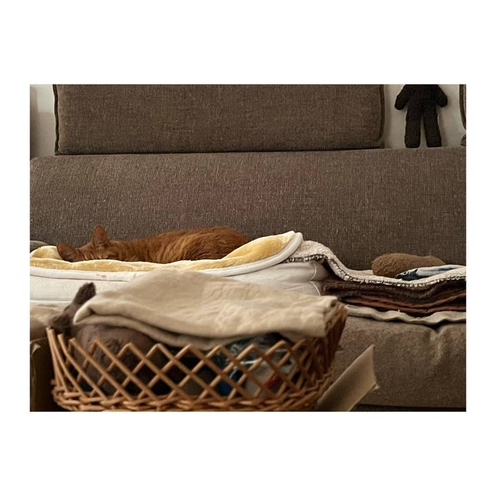 Eceb0eef 66b4 4ea4 ba39 29b6f118bc45 1672723270475