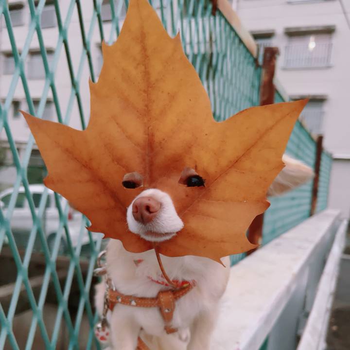 Eceb351d da92 4d35 bde5 57e398f75d34 1760181371729