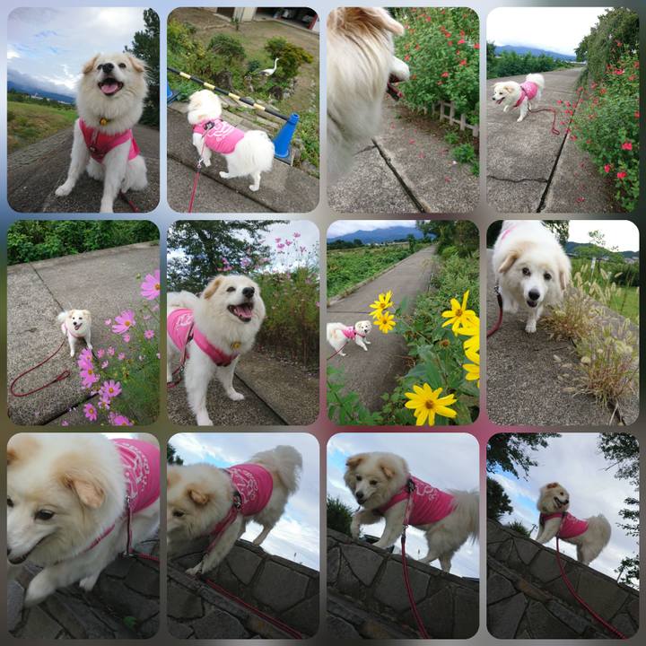 Eceb9435 90c1 4fca ab52 aefe41ad3bc4 1537138281834