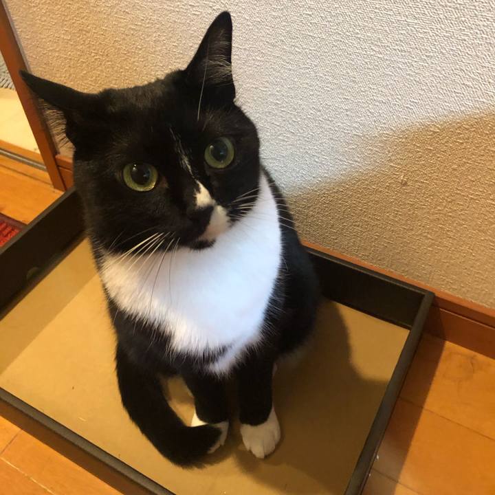 Eceb96d0 8552 41f9 8ee1 785e86a72d1e 1551307359902