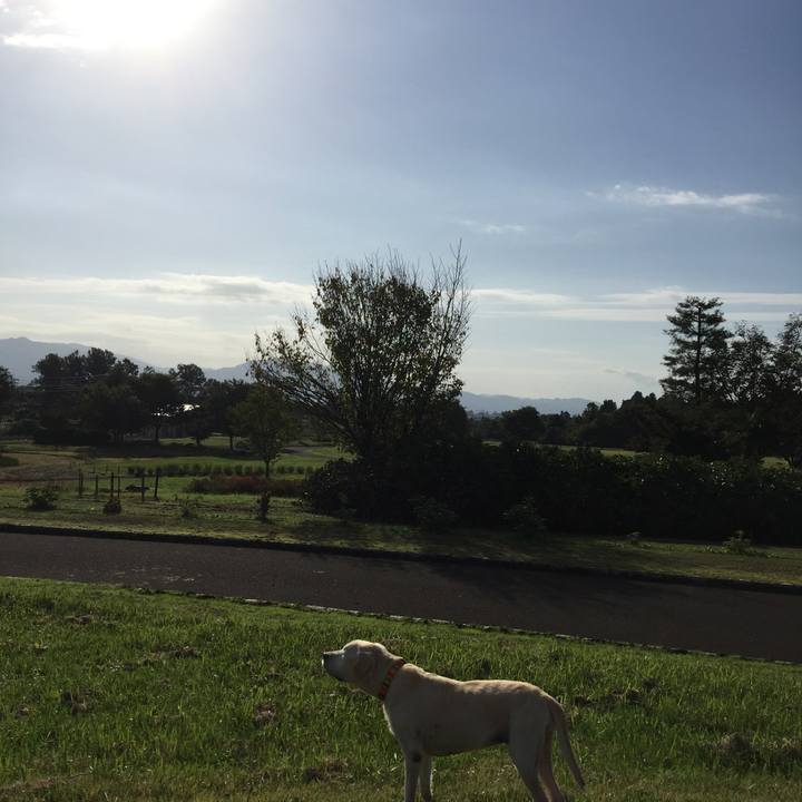 Ecebcd2b 9baf 47fb af14 93fb75d4303a 1508286286625