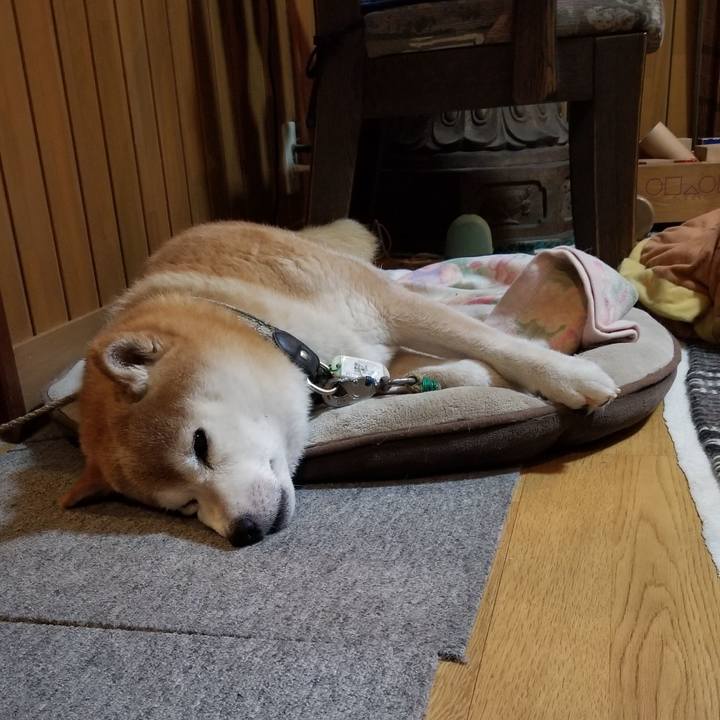 Ecec1ca4 7626 4f9c a9d9 b4f2c911ddc0 1694426642793