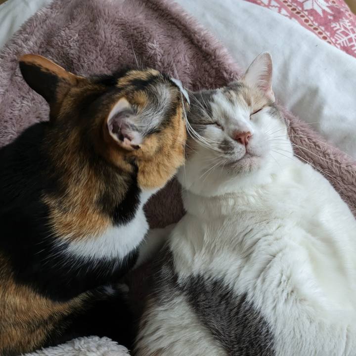 Ecec1db5 369a 45d1 ad81 5847d873bb1d 1709524653506