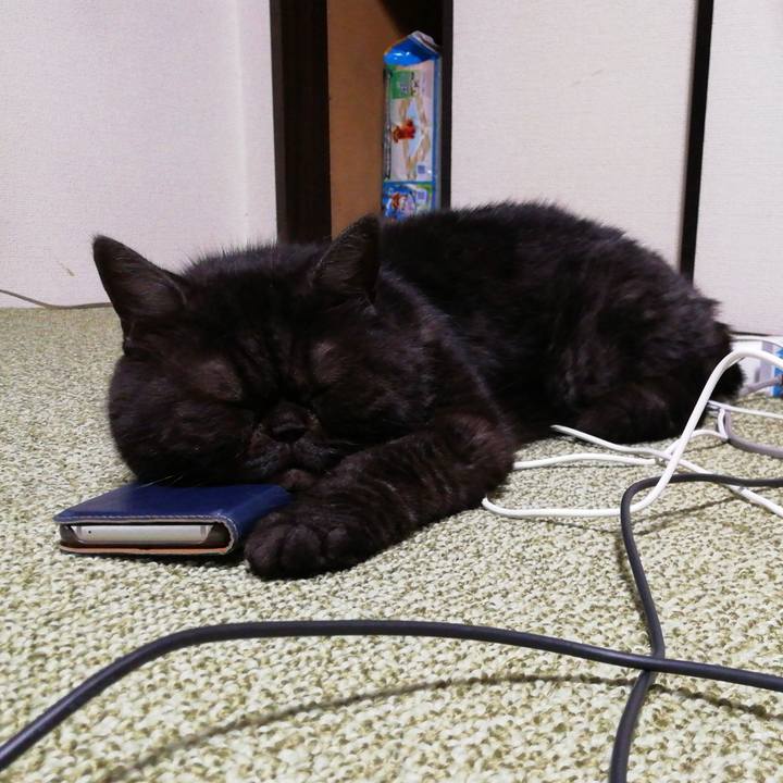 Ecec463d e862 400a a610 0664f94bd5ee 1669106075510