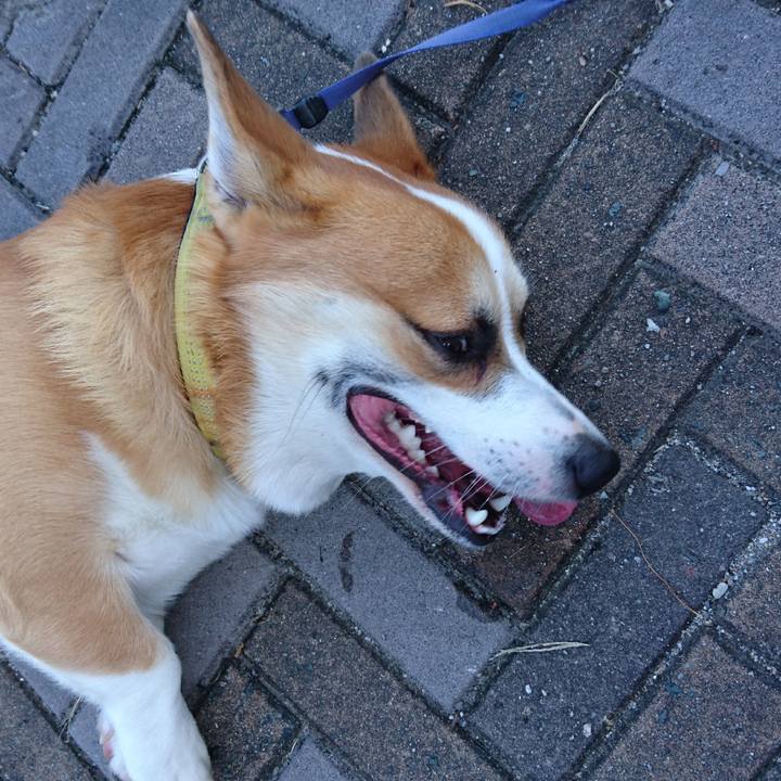 Ecec61e8 fbaf 46da a15b 32d4e12c6e61 1601181494079