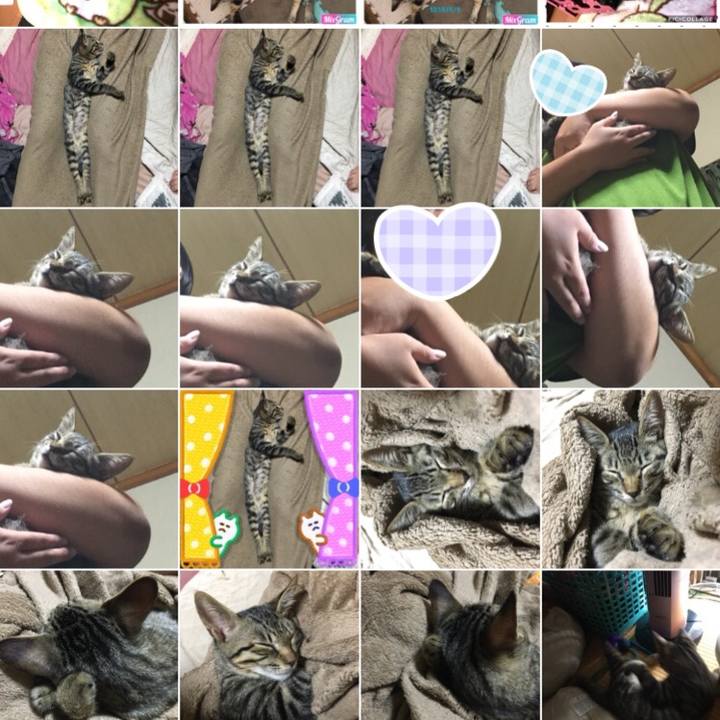 Ecec8be6 ac1d 41a0 b873 49cce1097610 1537238333888