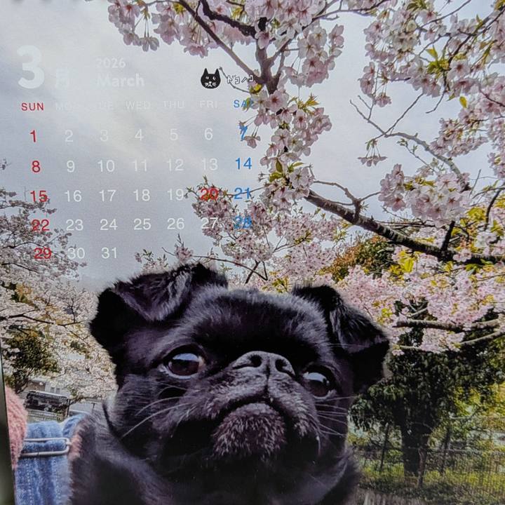 Ecec91ef 3aff 472f b59d eff1334a4167 1772319062888