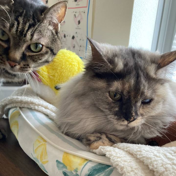 Ececb0b6 34a7 4eaf b3e3 ba594a8db841 1742890386739