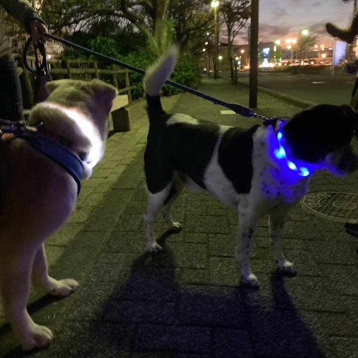 Ececbeb5 a908 4691 8d19 3bd22613d705 1667046735366