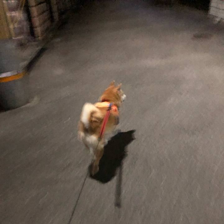 Eced26e7 ce9f 44db 9775 5428391d4cad 1585143343708