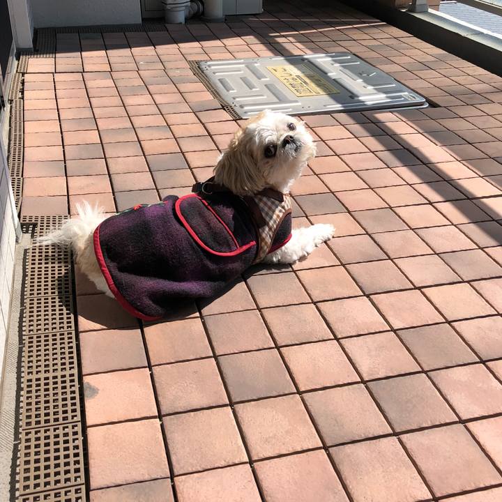 Eced5e99 4f9d 47a2 8833 f77efd088aa7 1522618489085