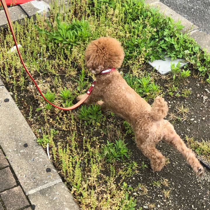 Eced6f68 5ecb 468b a7c5 f387579b1b33 1588824386298