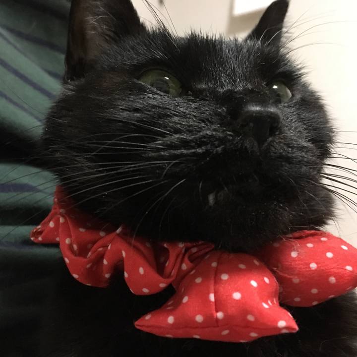 Ecedb43f c6e5 4a62 b479 9adeec4fcaf8 1563714867690