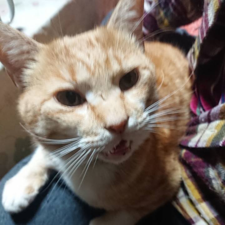 Ecedef21 f583 4c65 8799 c5f641bcc2c3 1585944470807