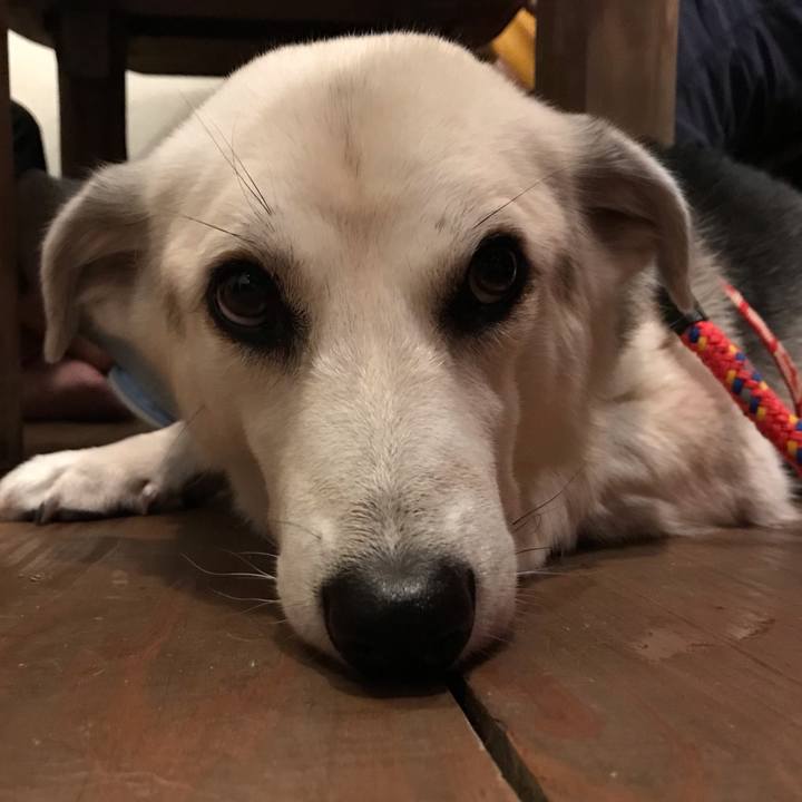 Ecedf246 4528 41a6 a6de 3ec5c070bbc4 1579517682331