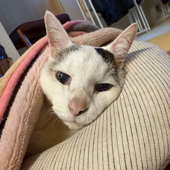 Ecee1c8b a7d1 4e46 9512 a876ffe730ef 1771638300887