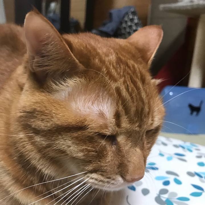 Ecee22b4 f378 44e2 abe6 dac85b5baf82 1526721295201